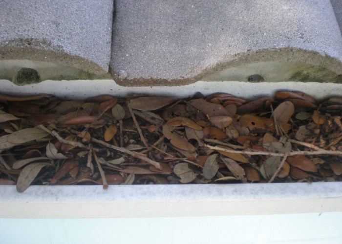 Gutter 2 Before